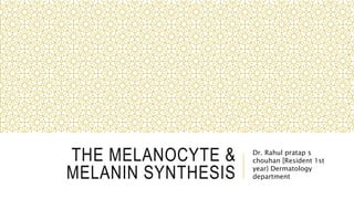 THE MELANOCYTE &
MELANIN SYNTHESIS
Dr. Rahul pratap s
chouhan [Resident 1st
year} Dermatology
department
 