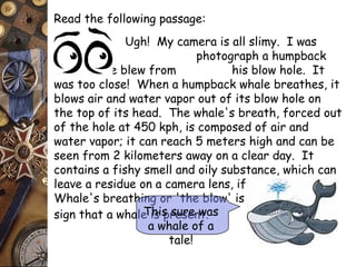 Read the following passage: 
Ugh! My camera is all slimy. I was 
trying to photograph a humpback 
whale as he blew from his blow hole. It 
was too close! When a humpback whale breathes, it 
blows air and water vapor out of its blow hole on 
the top of its head. The whale's breath, forced out 
of the hole at 450 kph, is composed of air and 
water vapor; it can reach 5 meters high and can be 
seen from 2 kilometers away on a clear day. It 
contains a fishy smell and oily substance, which can 
leave a residue on a camera lens, if too close. 
Whale's breathing or 'the blow' is usually the first 
sign that a whaleT ihsi sp rseusreen wt.a s 
a whale of a 
tale! 
 
