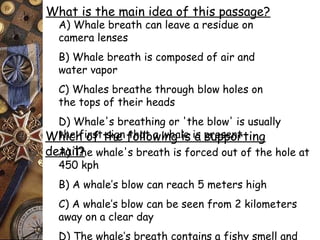 What is the main idea of this passage? 
A) Whale breath can leave a residue on 
camera lenses 
B) Whale breath is composed of air and 
water vapor 
C) Whales breathe through blow holes on 
the tops of their heads 
D) Whale's breathing or 'the blow' is usually 
the first sign that Which of the followa iwnhga lies ias psruepspeonrtting 
deAta) iTl?he whale's breath is forced out of the hole at 
450 kph 
B) A whale’s blow can reach 5 meters high 
C) A whale’s blow can be seen from 2 kilometers 
away on a clear day 
D) The whale’s breath contains a fishy smell and 
 