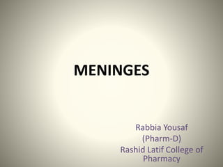 MENINGES
Rabbia Yousaf
(Pharm-D)
Rashid Latif College of
Pharmacy
 