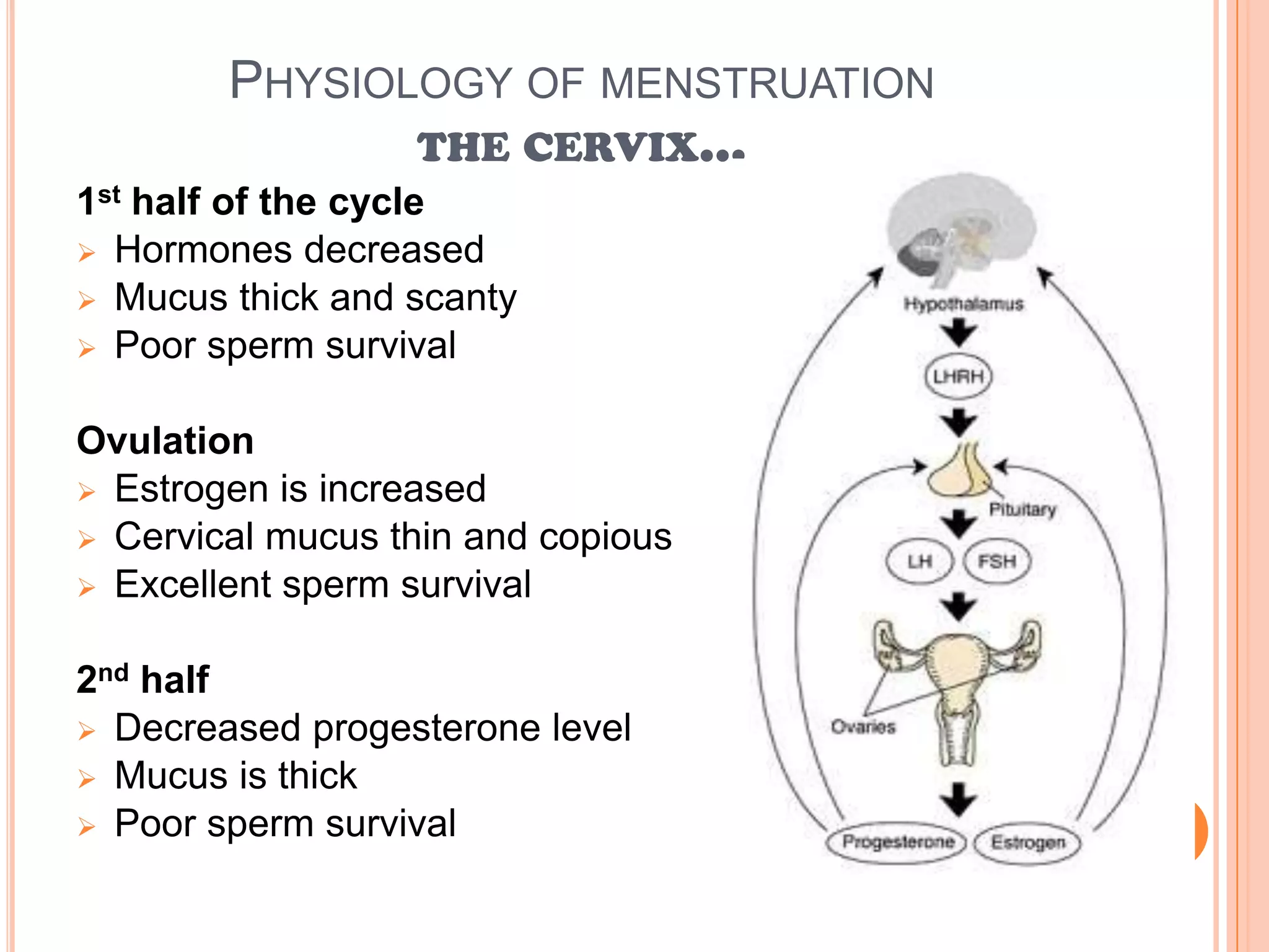 Blood from the ruptured capillaries