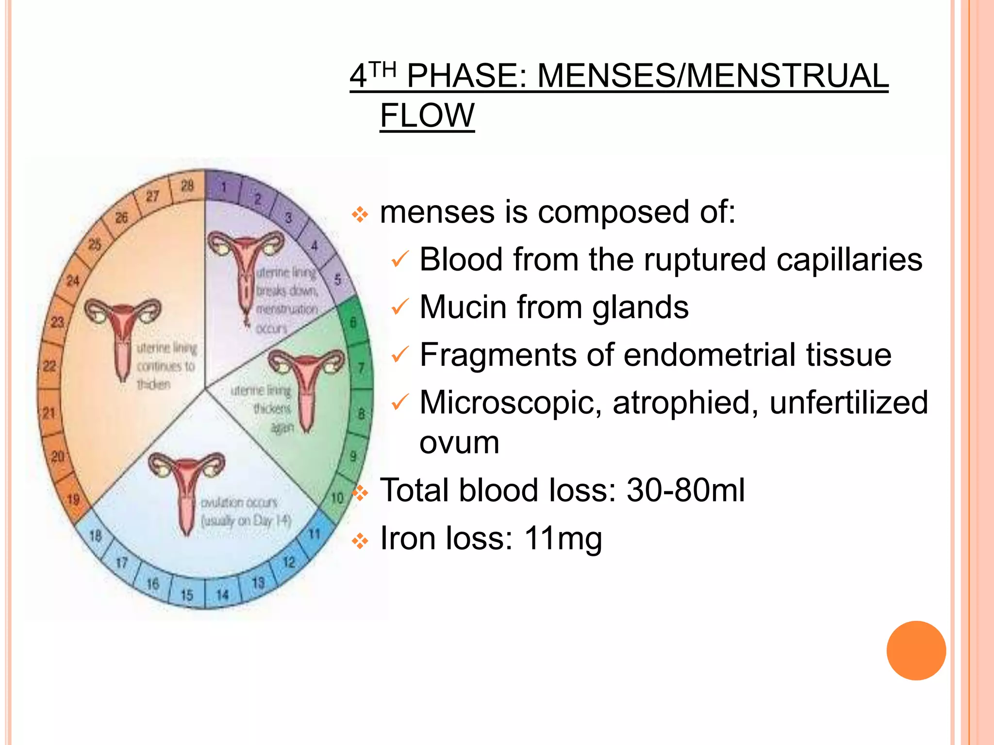 Decreased LH, Increased Progesterone3RD PHASE: ISCHEMICDecreased estrogen and progesterone levels causes the degeneration of the endometrium