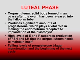 LUTEAL PHASE
• Corpus luteum: solid body formed in an
ovary after the ovum has been released into
the fallopian tube
• Produces significant amounts of
progesterone, which plays a vital role in
making the endometrium receptive to
implantation of the blastocyst
• High levels of E and P suppress production
of FSH and LH that the corpus luteum needs
to maintain itself
• Falling levels of progesterone trigger
menstruation and the beginning of the next
cycle
 