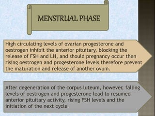 MENSTRUAL PHASE
High circulating levels of ovarian progesterone and
oestrogen inhibit the anterior pituitary, blocking the
release of FSH and LH, and should pregnancy occur then
rising oestrogen and progesterone levels therefore prevent
the maturation and release of another ovum.
After degeneration of the corpus luteum, however, falling
levels of oestrogen and progesterone lead to resumed
anterior pituitary activity, rising FSH levels and the
initiation of the next cycle.
 