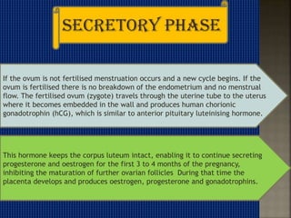 If the ovum is not fertilised menstruation occurs and a new cycle begins. If the
ovum is fertilised there is no breakdown of the endometrium and no menstrual
flow. The fertilised ovum (zygote) travels through the uterine tube to the uterus
where it becomes embedded in the wall and produces human chorionic
gonadotrophin (hCG), which is similar to anterior pituitary luteinising hormone.
This hormone keeps the corpus luteum intact, enabling it to continue secreting
progesterone and oestrogen for the first 3 to 4 months of the pregnancy,
inhibiting the maturation of further ovarian follicles During that time the
placenta develops and produces oestrogen, progesterone and gonadotrophins.
 
