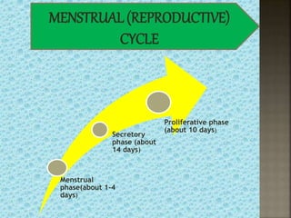 MENSTRUAL (REPRODUCTIVE)
CYCLE
Menstrual
phase(about 1-4
days)
Secretory
phase (about
14 days)
Proliferative phase
(about 10 days)
 