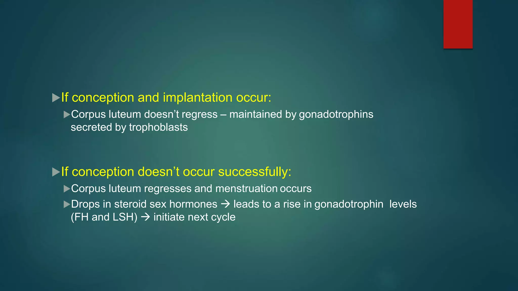 If conception and implantation occur:
Corpus luteum doesn’t regress – maintained by gonadotrophins
secreted by trophoblasts
If conception doesn’t occur successfully:
Corpus luteum regresses and menstruation occurs
Drops in steroid sex hormones  leads to a rise in gonadotrophin levels
(FH and LSH)  initiate next cycle
 