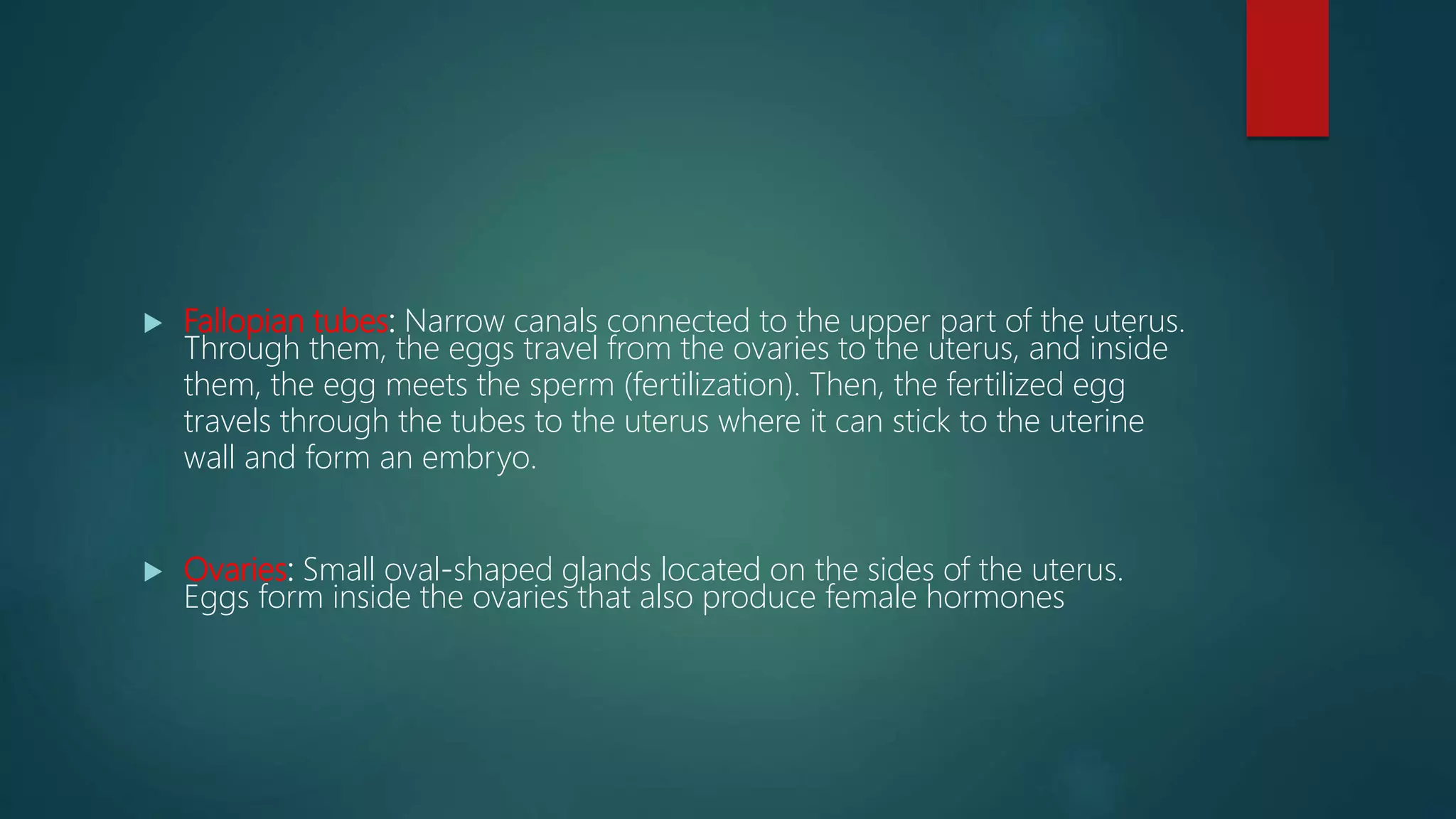  Fallopian tubes: Narrow canals connected to the upper part of the uterus.
Through them, the eggs travel from the ovaries to the uterus, and inside
them, the egg meets the sperm (fertilization). Then, the fertilized egg
travels through the tubes to the uterus where it can stick to the uterine
wall and form an embryo.
 Ovaries: Small oval-shaped glands located on the sides of the uterus.
Eggs form inside the ovaries that also produce female hormones
 