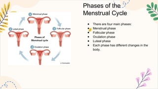 Phases of the
Menstrual Cycle
● There are four main phases:
● Menstrual phase
● Follicular phase
● Ovulation phase
● Luteal phase
● Each phase has different changes in the
body.
 