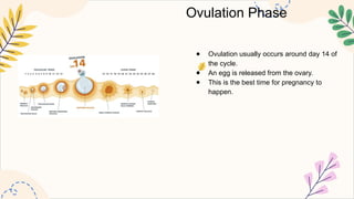 Ovulation Phase
● Ovulation usually occurs around day 14 of
the cycle.
● An egg is released from the ovary.
● This is the best time for pregnancy to
happen.
 