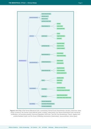 Menstrual Cycle Notes.pdf Comprehensive Clinical Overview of the Menstrual Cycle and Reproductive ...