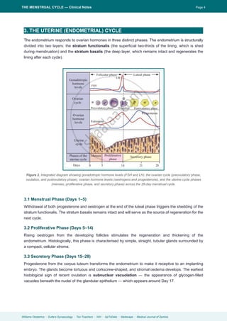 Comprehensive Clinical Overview of the Menstrual Cycle and Reproductive ...