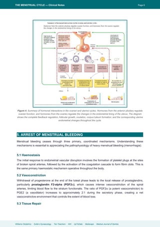 Menstrual Cycle Notes.pdf Comprehensive Clinical Overview of the Menstrual Cycle and Reproductive ...