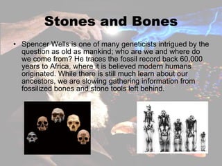 Stones and Bones Spencer Wells is one of many geneticists intrigued by the question as old as mankind; who are we and where do we come from? He traces the fossil record back 60,000 years to Africa, where it is believed modern humans originated. While there is still much learn about our ancestors, we are slowing gathering information from fossilized bones and stone tools left behind. 