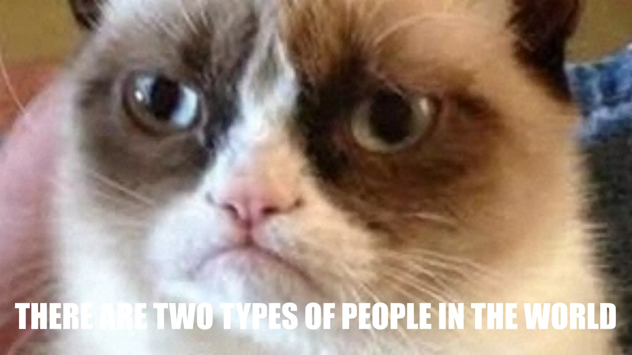 THERE ARE TWO TYPES OF PEOPLE IN THE WORLD
 