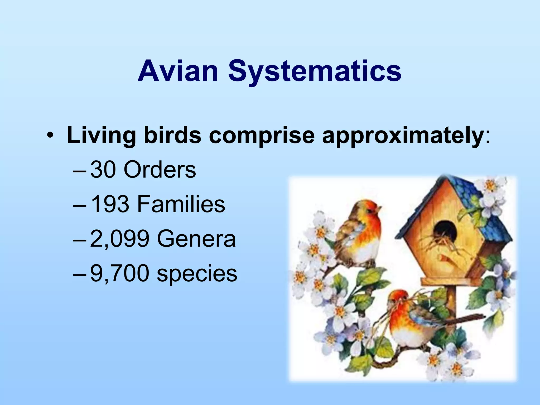 Avian Systematics
• Living birds comprise approximately:
–30 Orders
–193 Families
–2,099 Genera
–9,700 species
 