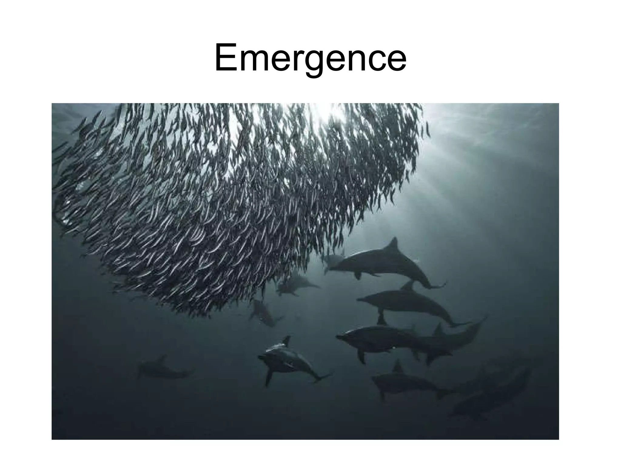 Biology ~ Themes Of Biology | PPT