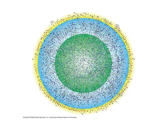 Biology ~ Themes Of Biology | PPT | Free Download