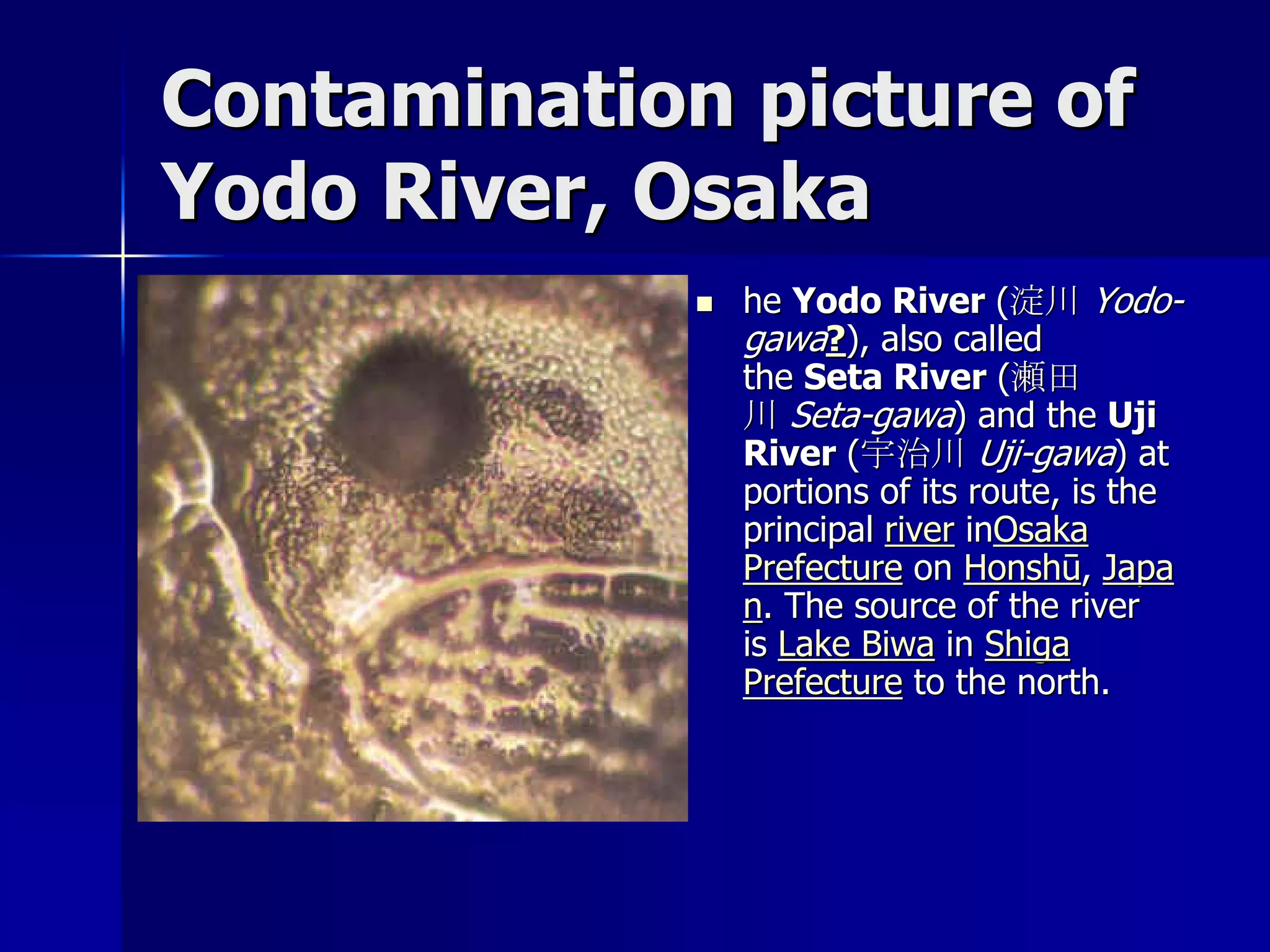 Contamination picture of
Yodo River, Osaka
                he Yodo River (淀川 Yodo-
                 gawa?), also called
                 the Seta River (瀬田
                 川 Seta-gawa) and the Uji
                 River (宇治川 Uji-gawa) at
                 portions of its route, is the
                 principal river inOsaka
                 Prefecture on Honshū, Japa
                 n. The source of the river
                 is Lake Biwa in Shiga
                 Prefecture to the north.
 