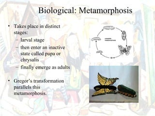 Biological: Metamorphosis
• Takes place in distinct
  stages:
   – larval stage
   – then enter an inactive
     state called pupa or
     chrysalis
   – finally emerge as adults

• Gregor’s transformation
  parallels this
  metamorphosis.
 