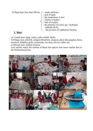 b) Deep layer (less than 200 m) - sandy substrate;
- lack of light;
- the temperature is low;
- salinity is higher;
- lack of oxygen;
- the presence of a toxic gas - hydrogen
sulphide (H2S);
- the presence of sulphurous bacteria.
2. Biota:
a) Coastal area: algae, actins, crabs, mullet, shells;
b) Pelagic area: jellyfish, sturgeon (blueberry, sturgeon, pike), blue poppies, horse
mackerel, dolphins, gulls, cormorants, sea trout, sea cat, turbot, etc.
c) Abyssal area: Sulfuric bacteria.
Low salinity makes the number of Black Sea species four times smaller than in
the Mediterranean Sea.
 