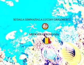 SCOALA GIMNAZIALA LUCIAN GRIGORESCU
MEDGIDIA – ROMANIA
 