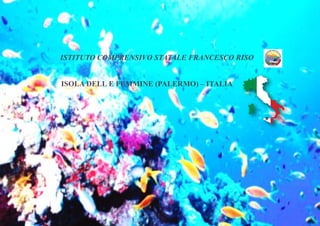 ISTITUTO COMPRENSIVO STATALE FRANCESCO RISO
ISOLA DELL E FEMMINE (PALERMO) – ITALIA
 