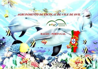 AGRUPAMENTO DE ESCOLAS DE VALE DE OVIL
BAIÃO – PORTUGAL
 