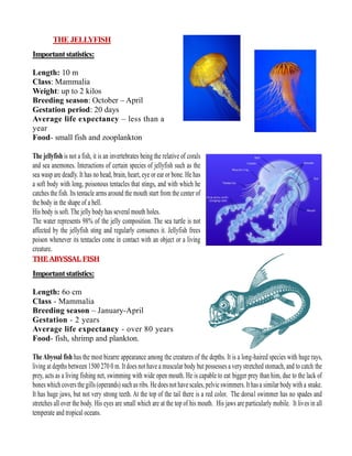 THE JELLYFISH
Importantstatistics:
Length: 10 m
Class: Mammalia
Weight: up to 2 kilos
Breeding season: October – April
Gestation period: 20 days
Average life expectancy – less than a
year
Food- small fish and zooplankton
The jellyfish is not a fish, it is an invertebrates being the relative of corals
and sea anemones. Interactions of certain species of jellyfish such as the
sea wasp are deadly. It has no head, brain, heart, eye or ear or bone. He has
a soft body with long, poisonous tentacles that stings, and with which he
catches the fish. Its tentacle arms around the mouth start from the center of
the body in the shape of a bell.
His body is soft. The jelly body has several mouth holes.
The water represents 98% of the jelly composition. The sea turtle is not
affected by the jellyfish sting and regularly consumes it. Jellyfish frees
poison whenever its tentacles come in contact with an object or a living
creature.
THEABYSSAL FISH
Importantstatistics:
Length: 6o cm
Class - Mammalia
Breeding season – January-April
Gestation - 2 years
Average life expectancy - over 80 years
Food- fish, shrimp and plankton.
TheAbyssal fish has the most bizarre appearance among the creatures of the depths. It is a long-haired species with huge rays,
living at depths between 1500 270 0 m. It does not have a muscular body but possesses a very stretched stomach, and to catch the
prey, acts as a living fishing net, swimming with wide open mouth. He is capable to eat bigger prey than him, due to the lack of
bones which coversthe gills (operands) such as ribs. He doesnot have scales,pelvic swimmers. Ithasa similar body with a snake.
It has huge jaws, but not very strong teeth. At the top of the tail there is a red color. The dorsal swimmer has no spades and
stretches all over the body. His eyes are small which are at the top of his mouth. His jaws are particularly mobile. It lives in all
temperate and tropical oceans.
 