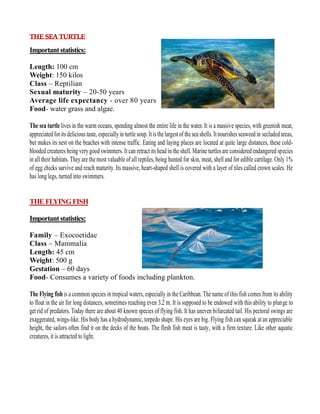 THE SEA TURTLE
Importantstatistics:
Length: 100 cm
Weight: 150 kilos
Class – Reptilian
Sexual maturity – 20-50 years
Average life expectancy - over 80 years
Food- water grass and algae.
The sea turtle lives in the warm oceans, spending almost the entire life in the water. It is a massive species, with greenish meat,
appreciatedfor its delicious taste, especially in turtle soup.It isthelargest of the sea shells.Itnourishes seaweed in secludedareas,
but makes its nest on the beaches with intense traffic. Eating and laying places are located at quite large distances, these cold-
blooded creatures being very good swimmers. It can retract its head in the shell. Marine turtles are considered endangered species
in all their habitats. They are the most valuable of all reptiles, being hunted for skin, meat, shell and for edible cartilage. Only 1%
of egg chicks survive and reach maturity. Its massive, heart-shaped shell is covered with a layer of tiles called crown scales. He
has long legs, turned into swimmers.
THE FLYING FISH
Importantstatistics:
Family – Exocoetidae
Class – Mammalia
Length: 45 cm
Weight: 500 g
Gestation – 60 days
Food- Consumes a variety of foods including plankton.
The Flying fish is a common species in tropical waters, especially in the Caribbean. The name of this fish comes from its ability
to float in the air for long distances, sometimes reaching even 3.2 m. It is supposed to be endowed with this ability to plunge to
get rid of predators. Today there are about 40 known species of flying fish. It has uneven bifurcated tail. His pectoral swings are
exaggerated, wings-like. His body has a hydrodynamic, torpedo shape. His eyes are big. Flying fish can squeak at an appreciable
height, the sailors often find it on the decks of the boats. The flesh fish meat is tasty, with a firm texture. Like other aquatic
creatures, it is attracted to light.
 