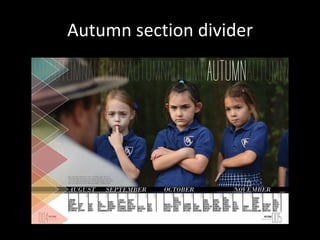 Autumn section divider
 