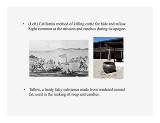 •  (Left) California method of killing cattle for hide and tallow.
   Sight common at the mission and ranchos during its apogee.
	
  




   •  Tallow, a hardy fatty substance made from rendered animal
      fat, used in the making of soap and candles.
 