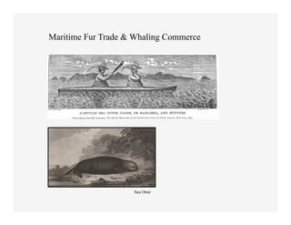 Maritime Fur Trade & Whaling Commerce




                    Sea Otter	
  
 