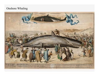 Onshore Whaling	
  
 
