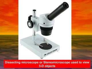 Dissecting Microscope Fov The Microscope | PPT