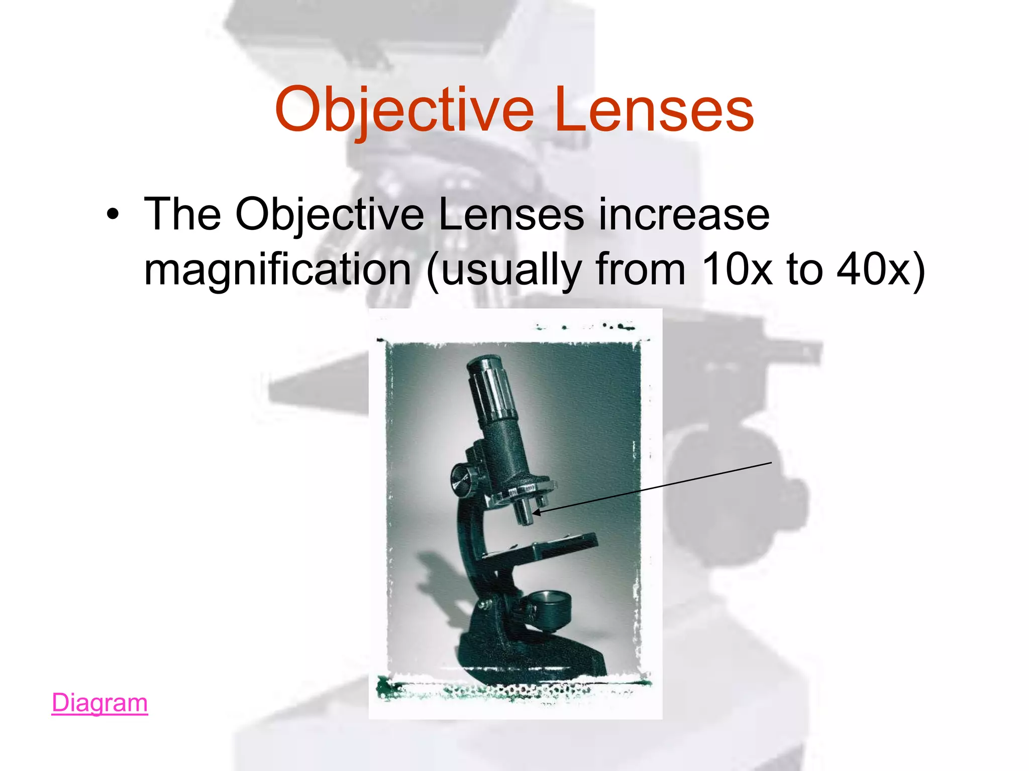Objective Lenses
   • The Objective Lenses increase
     magnification (usually from 10x to 40x)




Diagram
 