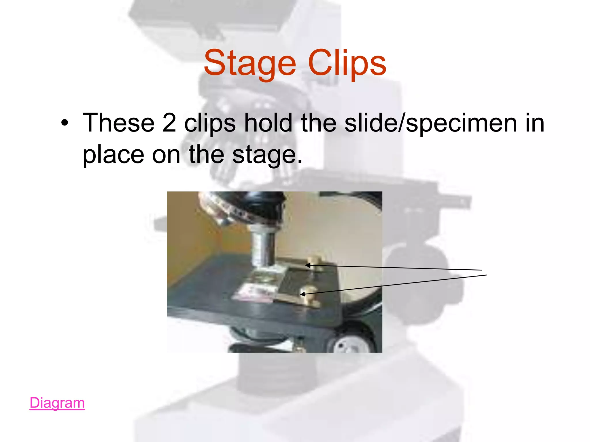 Stage Clips
   • These 2 clips hold the slide/specimen in
     place on the stage.




Diagram
 