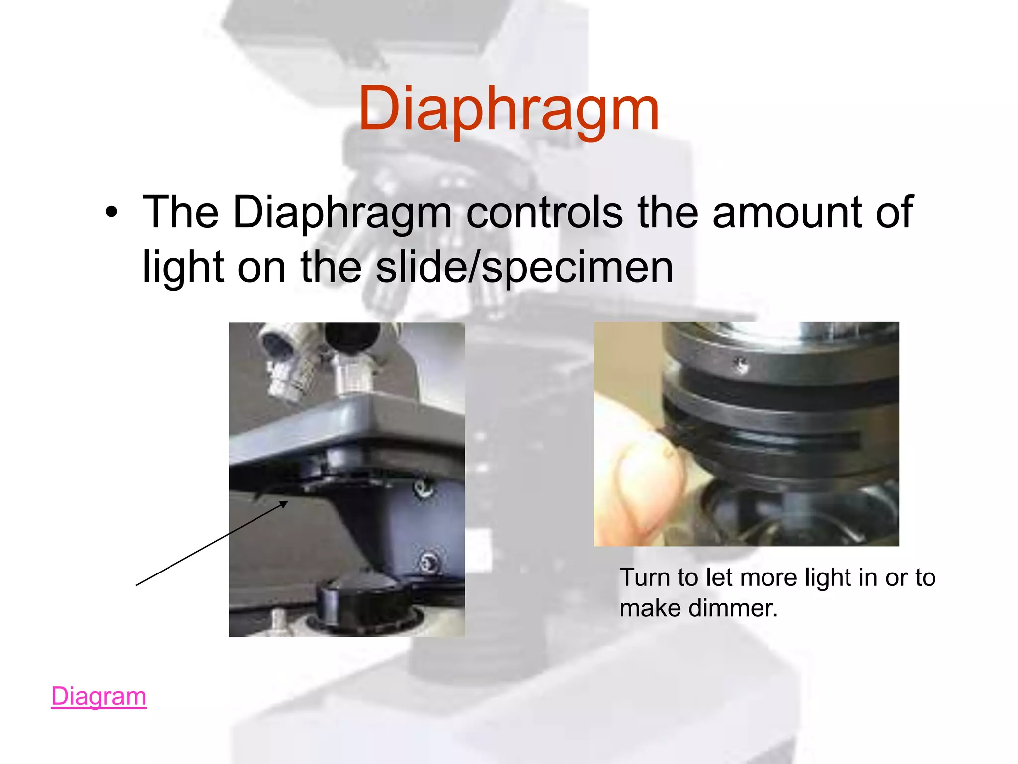 Diaphragm
   • The Diaphragm controls the amount of
     light on the slide/specimen




                           Turn to let more light in or to
                           make dimmer.


Diagram
 