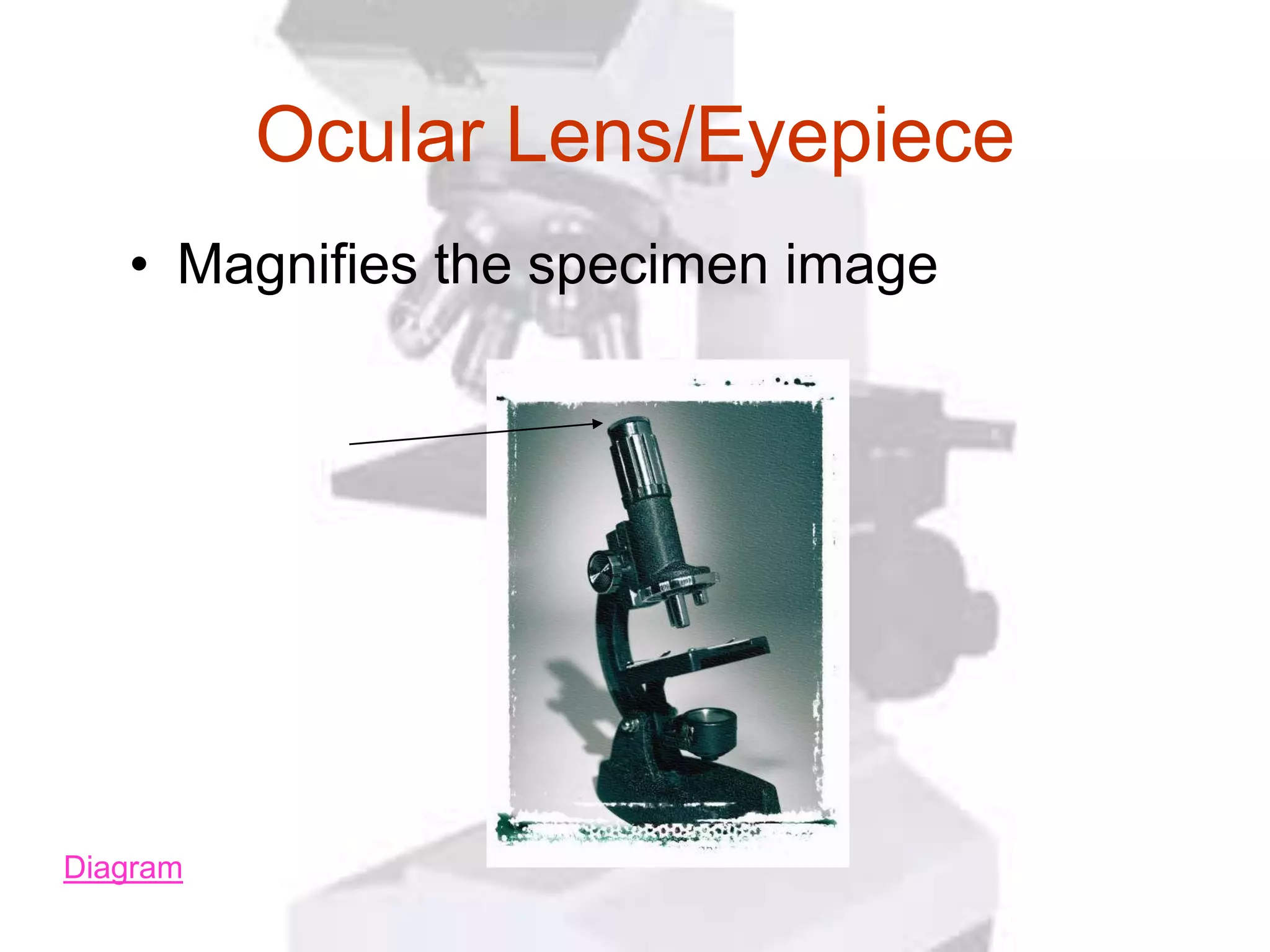 Ocular Lens/Eyepiece
   • Magnifies the specimen image




Diagram
 
