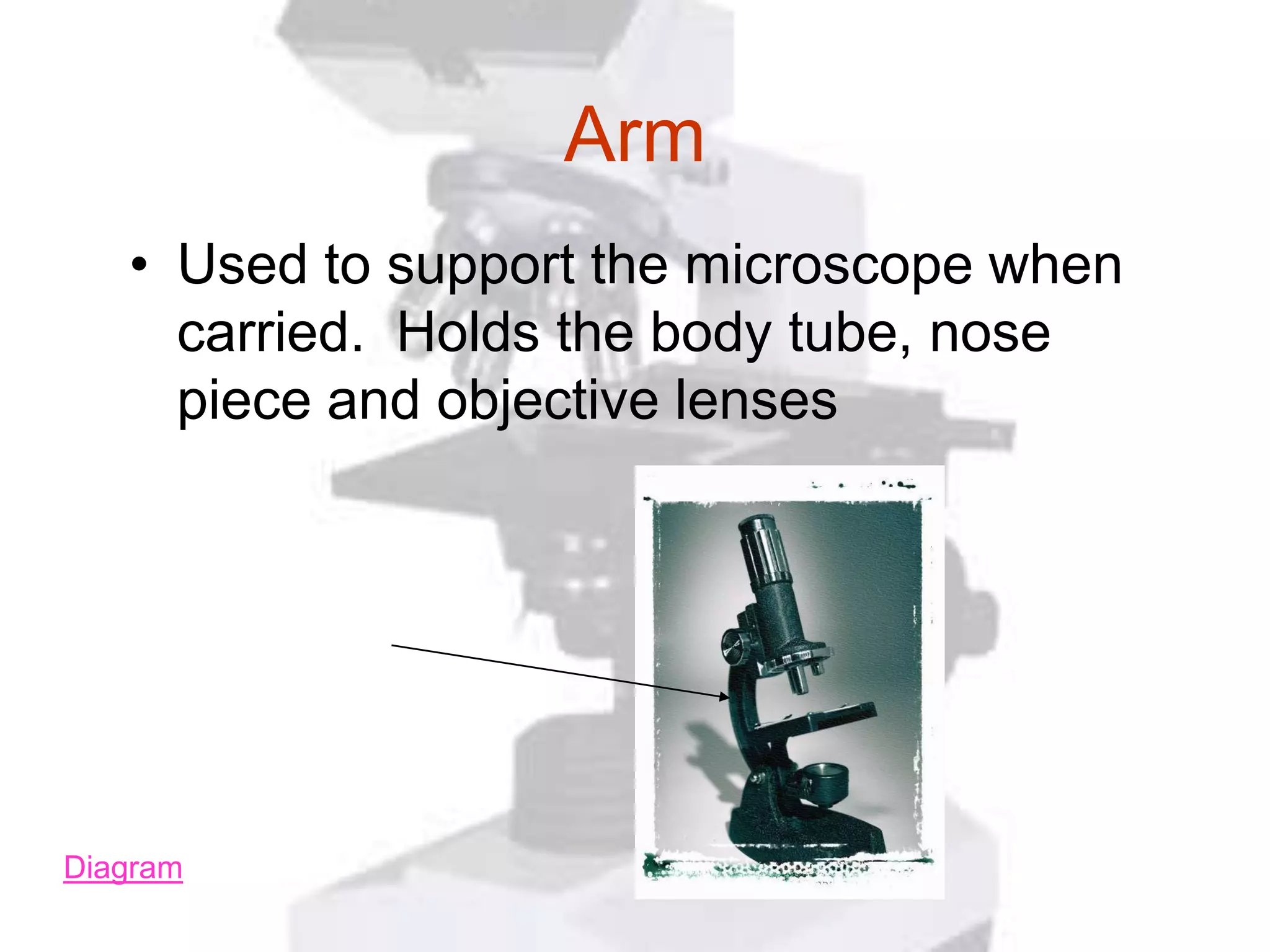 Arm
   • Used to support the microscope when
     carried. Holds the body tube, nose
     piece and objective lenses




Diagram
 
