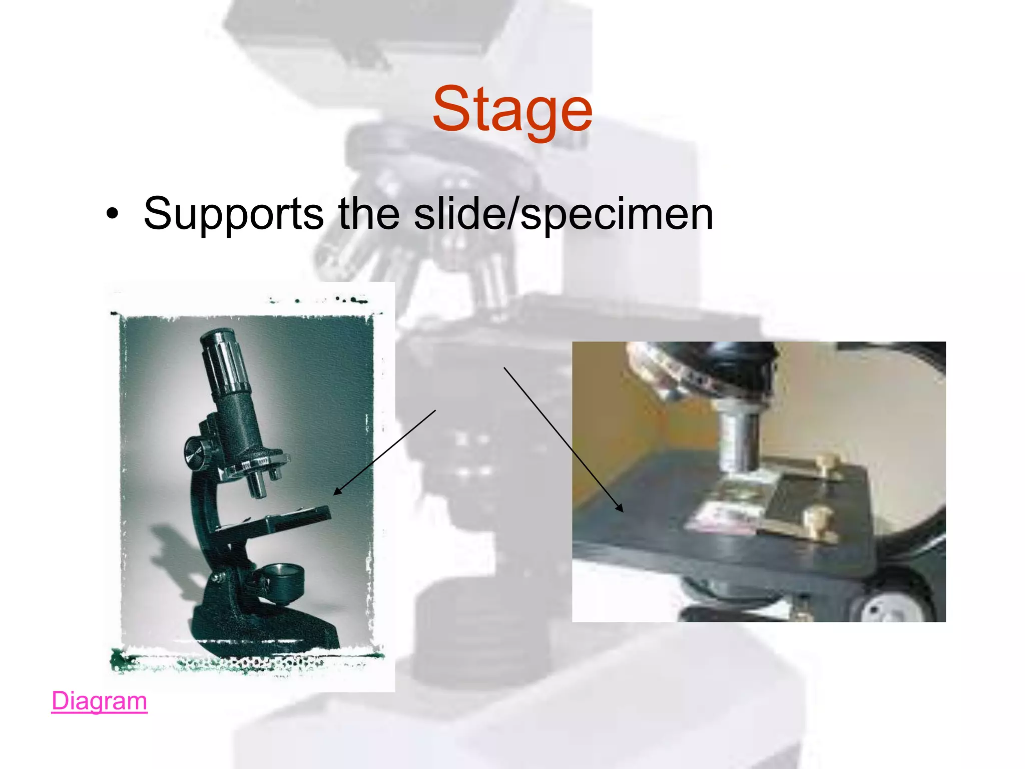 Stage
   • Supports the slide/specimen




Diagram
 