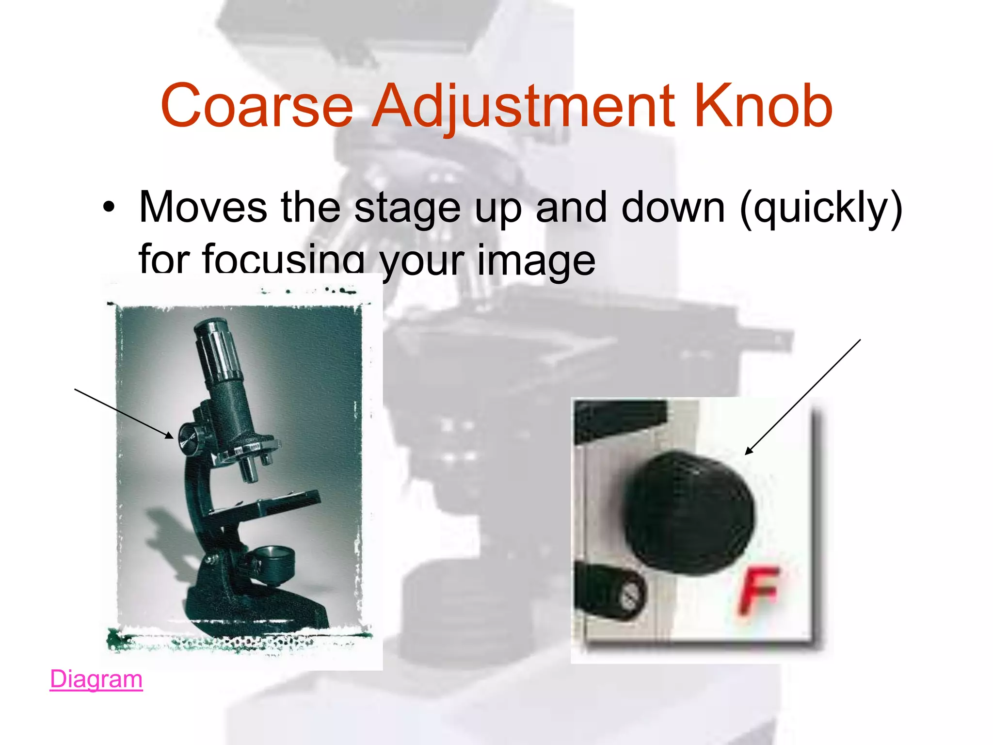 Coarse Adjustment Knob
   • Moves the stage up and down (quickly)
     for focusing your image




Diagram
 