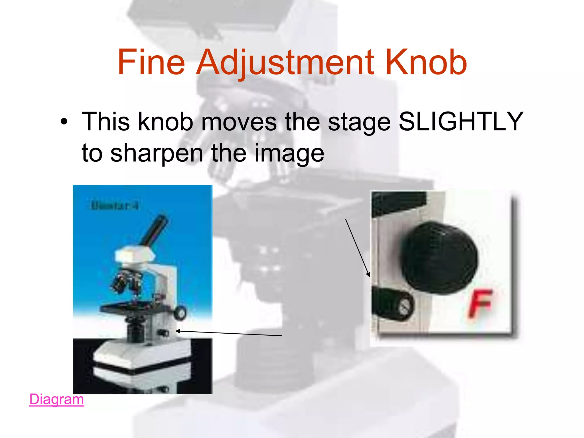 Fine Adjustment Knob
   • This knob moves the stage SLIGHTLY
     to sharpen the image




Diagram
 