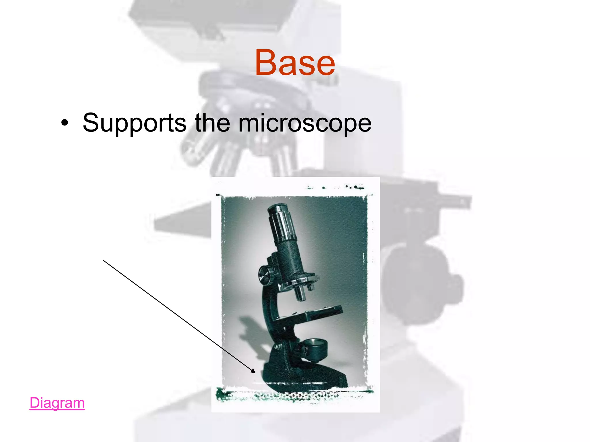 Base
   • Supports the microscope




Diagram
 