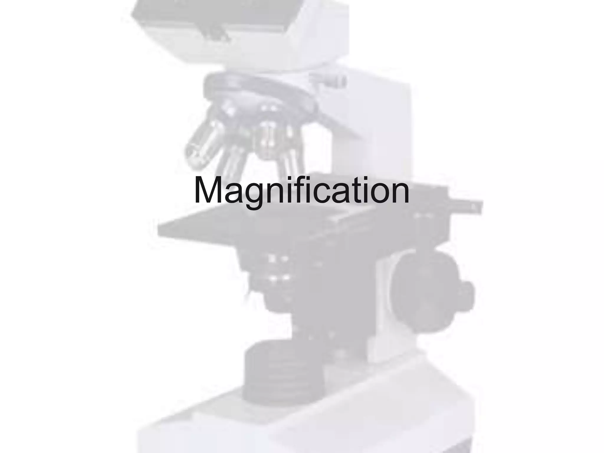Magnification
 