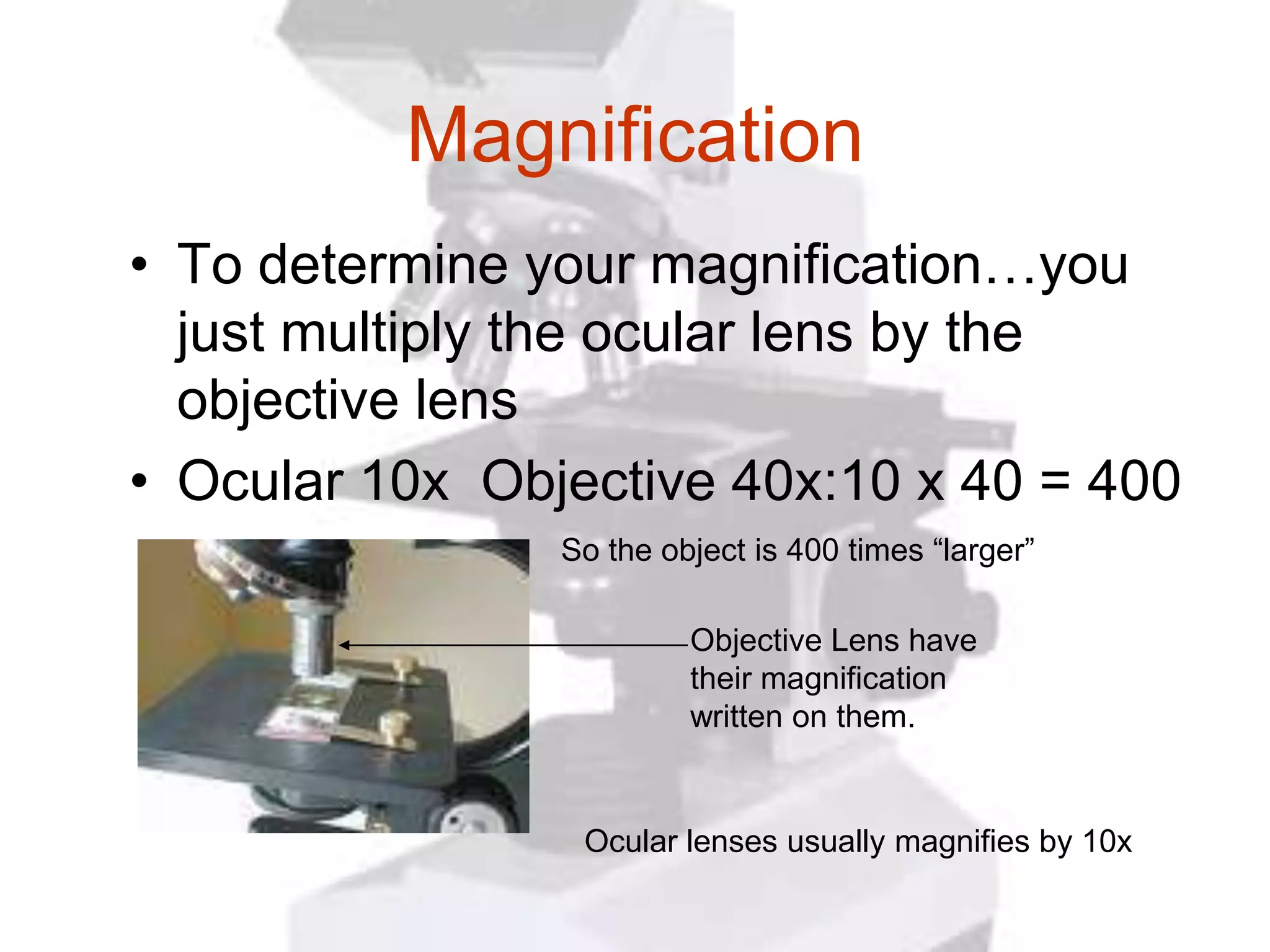 Magnification
• To determine your magnification…you
  just multiply the ocular lens by the
  objective lens
• Ocular 10x Objective 40x:10 x 40 = 400
                So the object is 400 times “larger”

                         Objective Lens have
                         their magnification
                         written on them.


                 Ocular lenses usually magnifies by 10x
 
