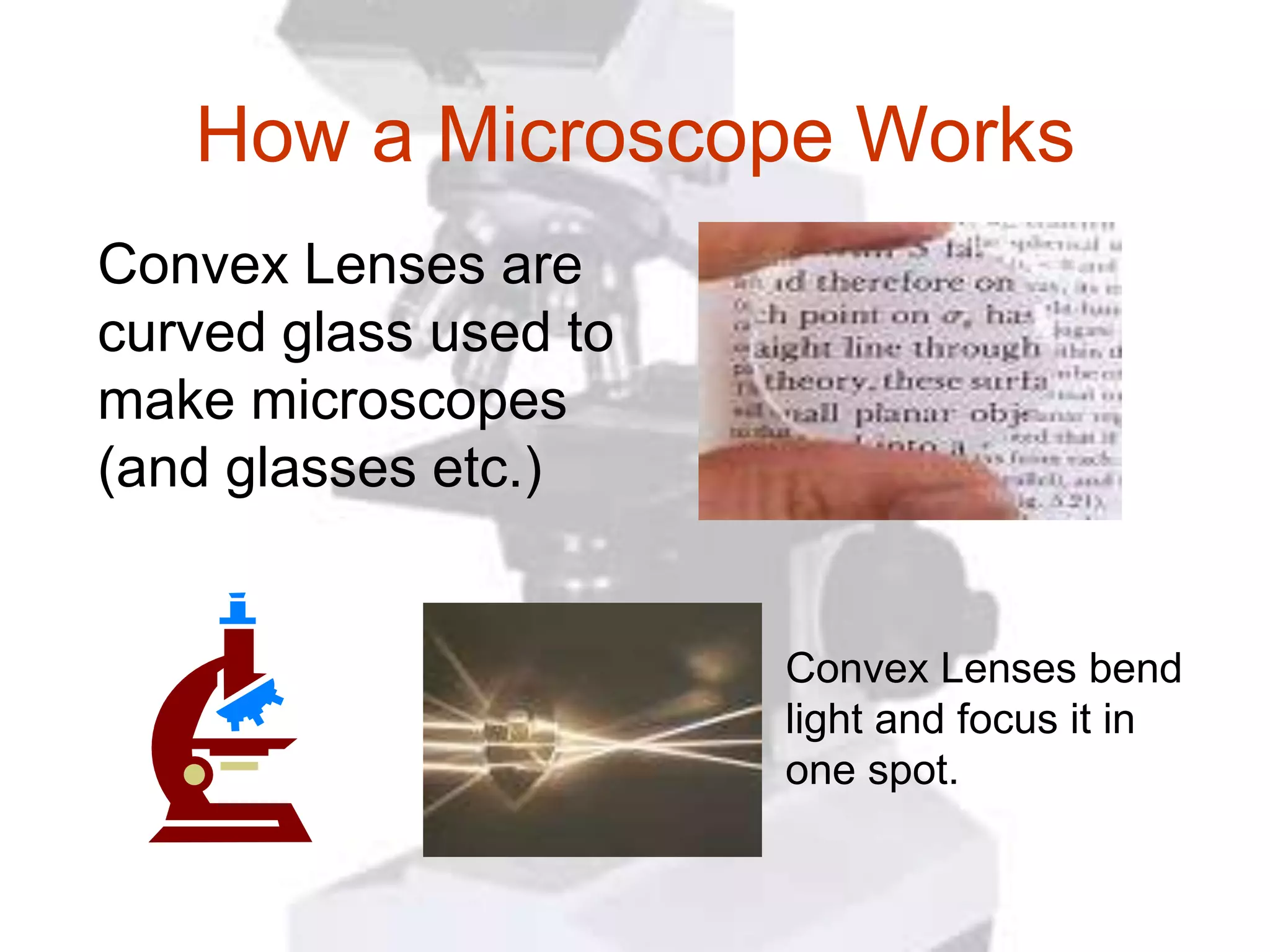 How a Microscope Works
Convex Lenses are
curved glass used to
make microscopes
(and glasses etc.)


                       Convex Lenses bend
                       light and focus it in
                       one spot.
 