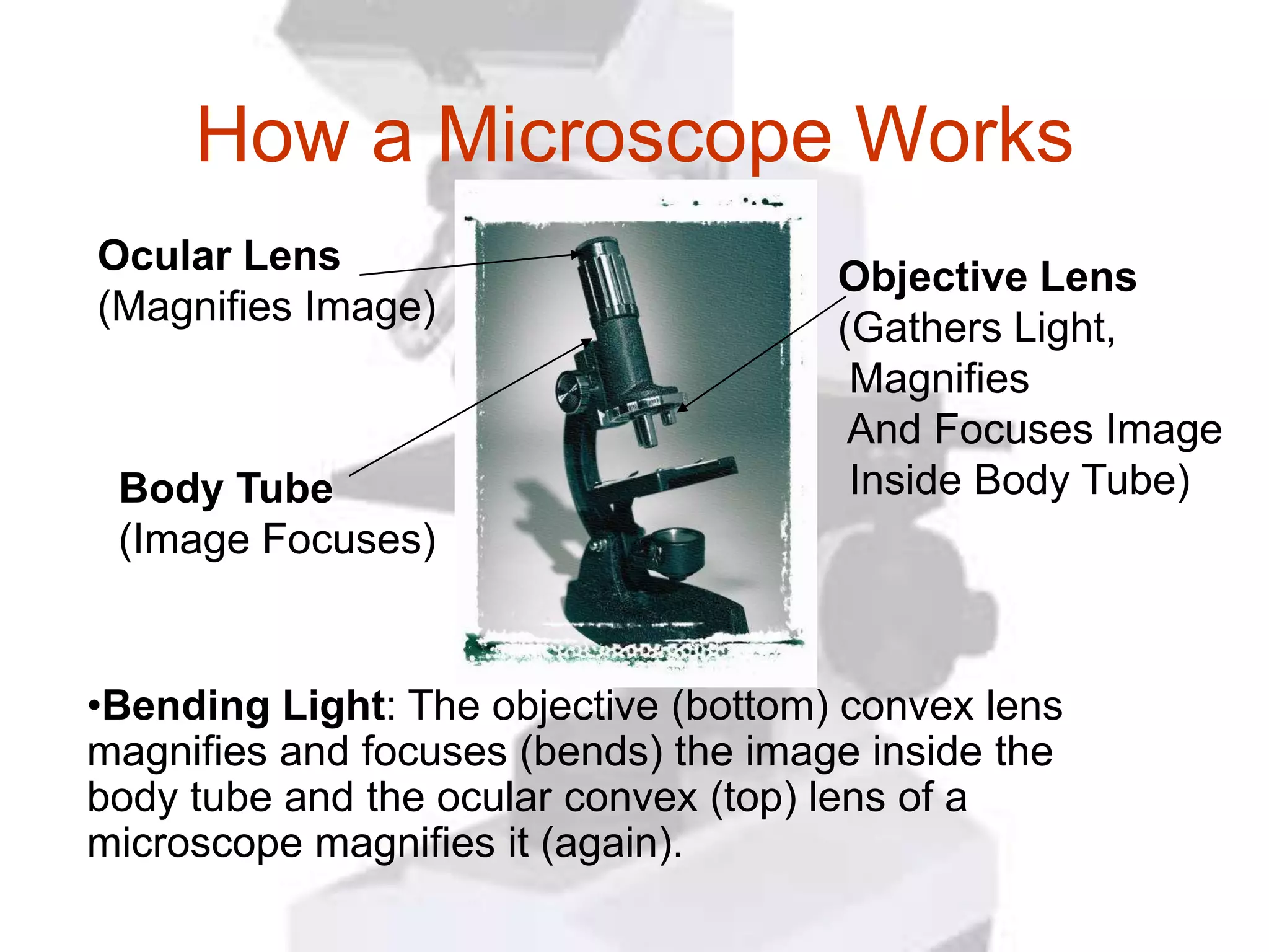 How a Microscope Works
Ocular Lens                           Objective Lens
(Magnifies Image)                     (Gathers Light,
                                       Magnifies
                                       And Focuses Image
 Body Tube                             Inside Body Tube)
 (Image Focuses)


•Bending Light: The objective (bottom) convex lens
magnifies and focuses (bends) the image inside the
body tube and the ocular convex (top) lens of a
microscope magnifies it (again).
 