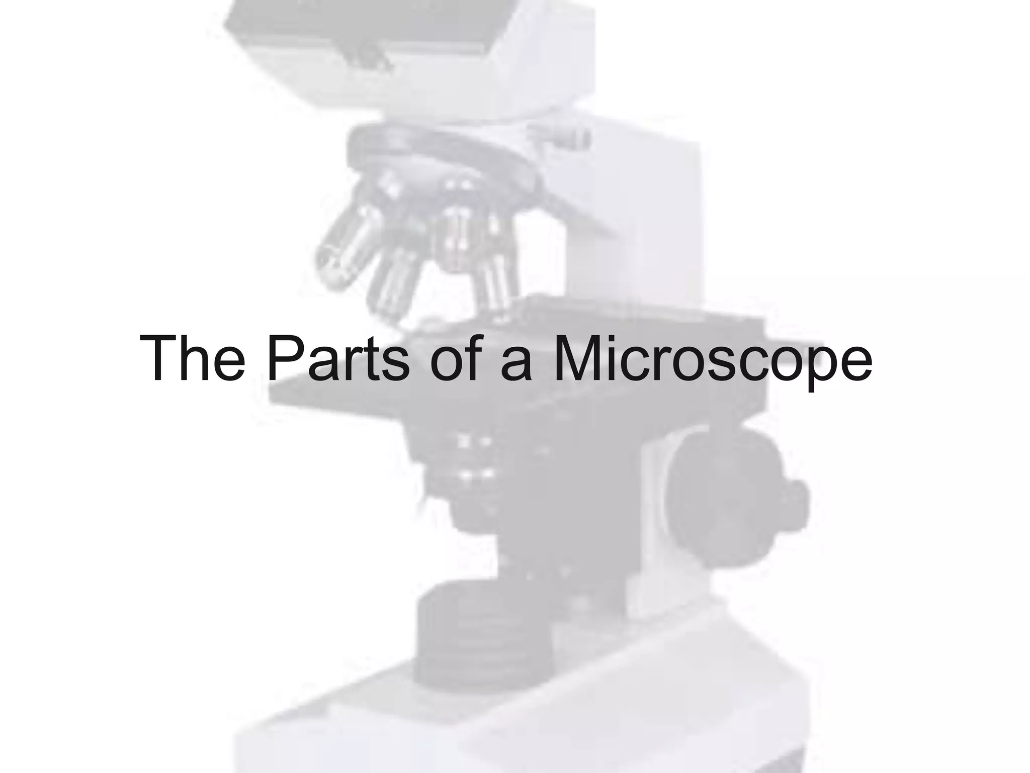 The Parts of a Microscope
 
