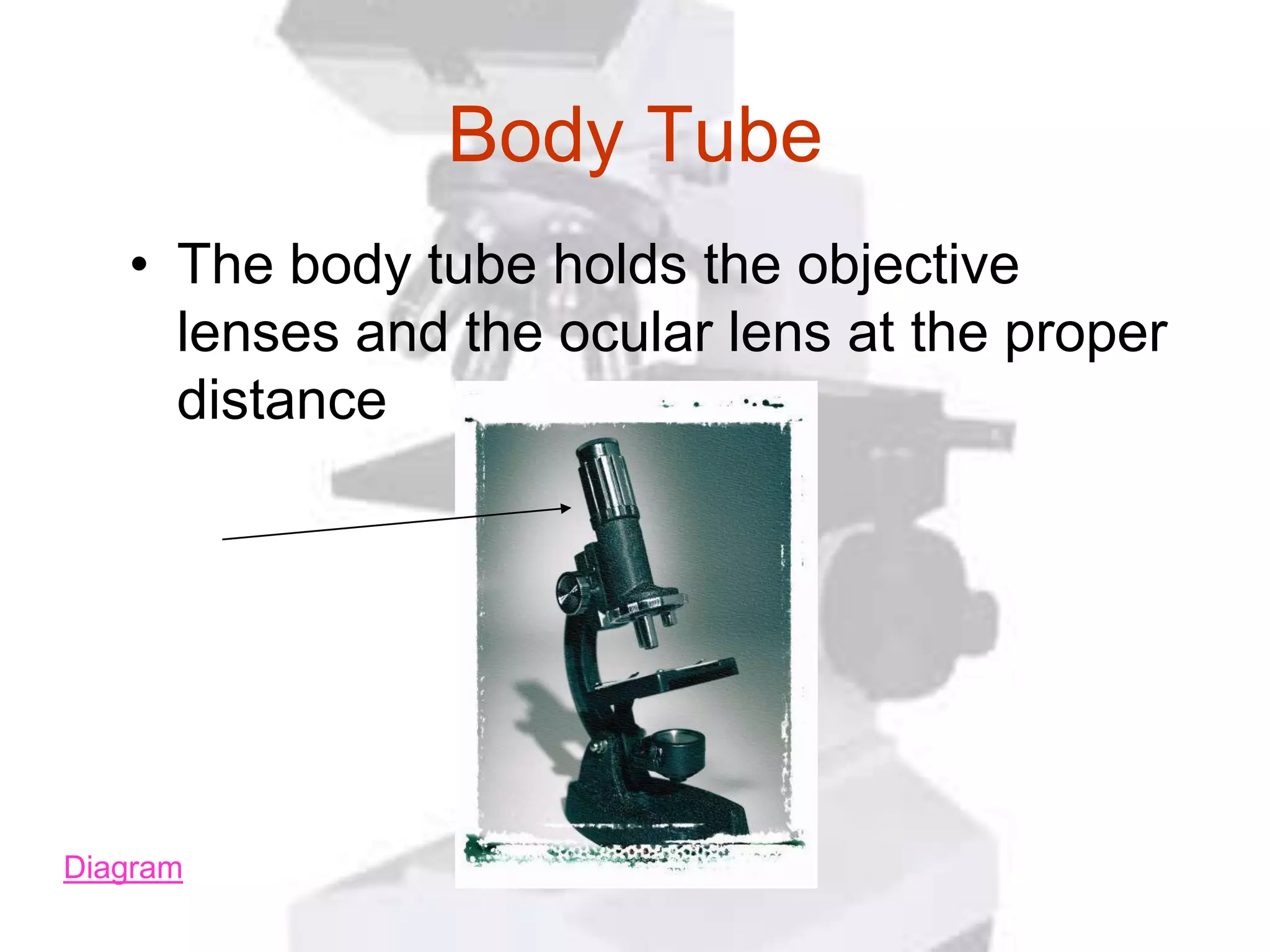 Body Tube
   • The body tube holds the objective
     lenses and the ocular lens at the proper
     distance




Diagram
 